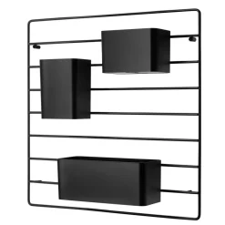 3 String Organizers, Negro