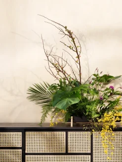 Aparador Air low, Negro, ratán