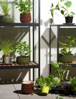 Armario para plantas Grower Greens, Negro, 81x137 cm