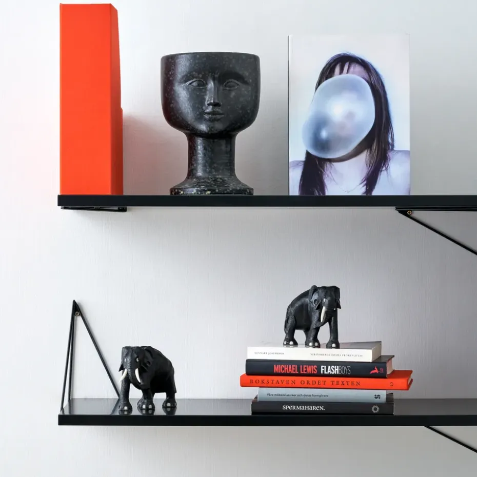 Balda Pythagoras, negro