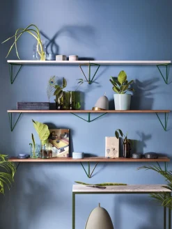 Balda Pythagoras, nogal