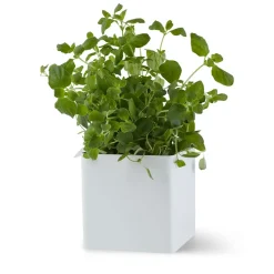 Caja Flex Box pequeña 10,5 cm, blanco