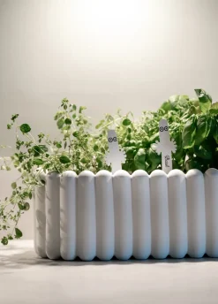 Etiqueta para planta de los Hatifnates 4-pack, Blanco