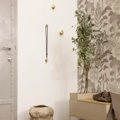 Gancho Chanterelle, Latón