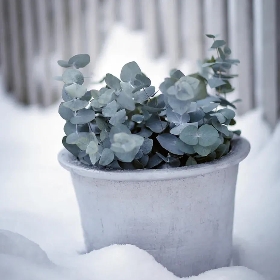 Maceta Cilla Ø37 cm, Aluminio