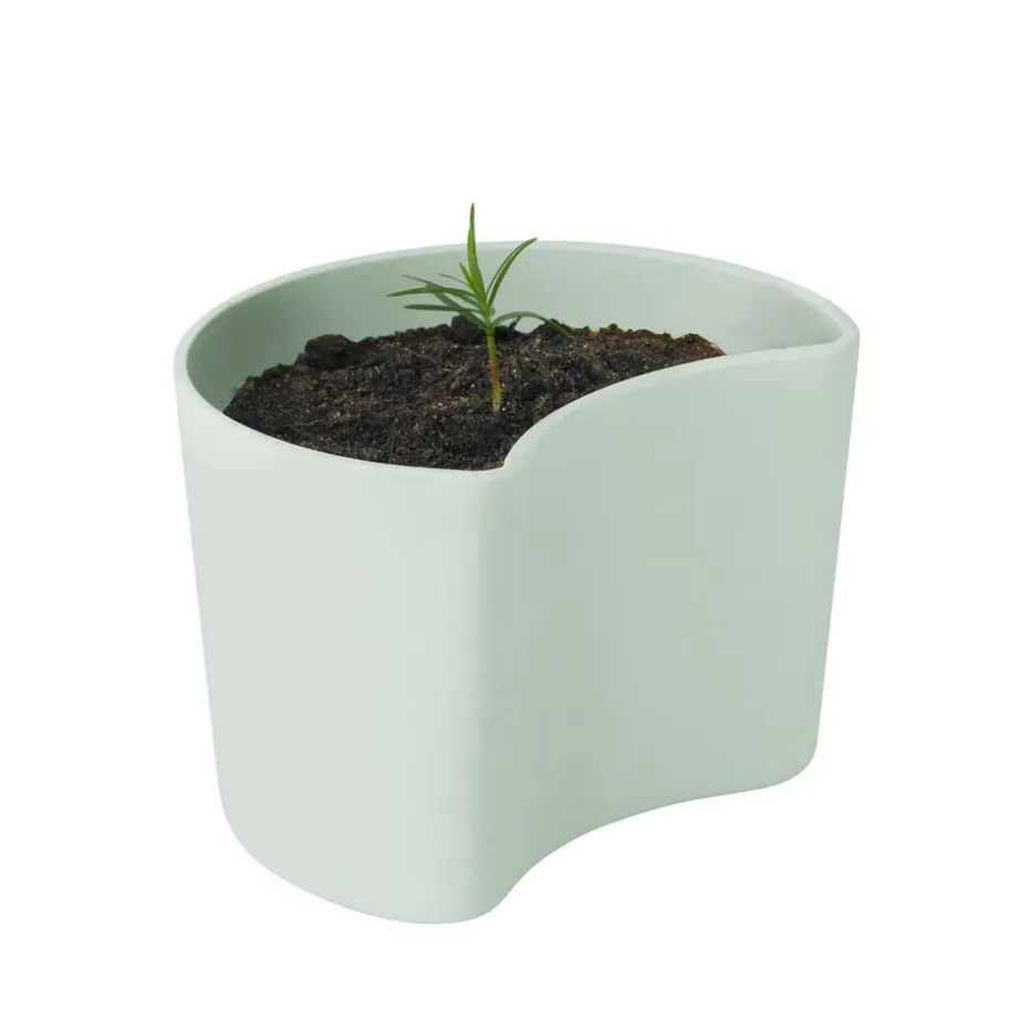 Maceta con semillas YOUR TREE, verde (pino)