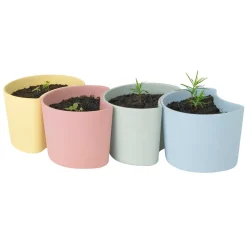 Maceta con semillas YOUR TREE, azul (pino)