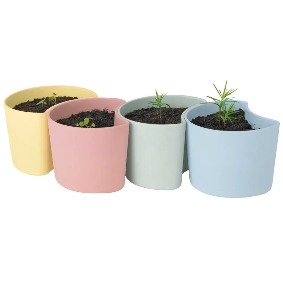 Maceta con semillas YOUR TREE, azul (pino)