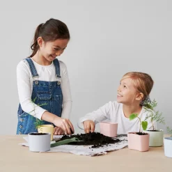 Maceta con semillas YOUR TREE, azul (pino)