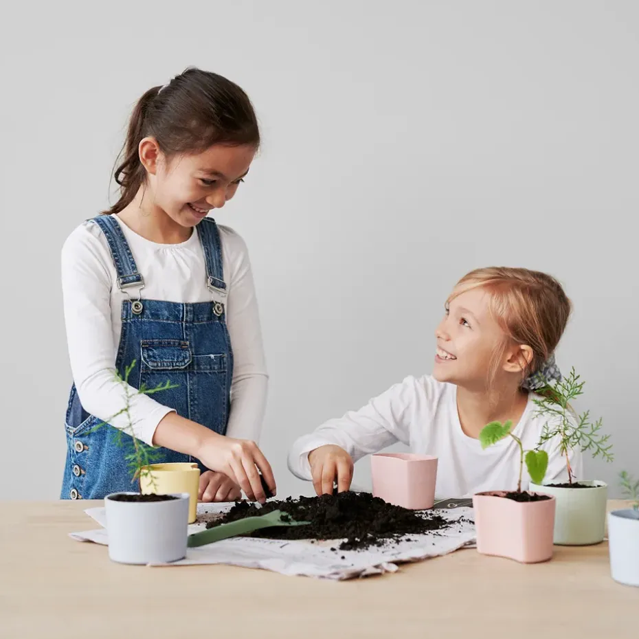 Maceta con semillas YOUR TREE, azul (pino)