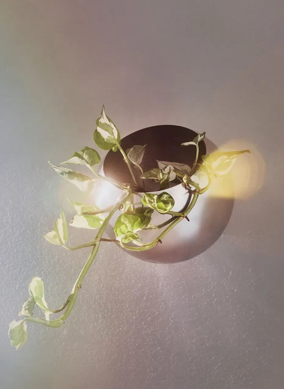 Maceta de pared Globe Ø17 cm, Plata