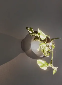 Maceta de pared Globe Ø21 cm, Plata