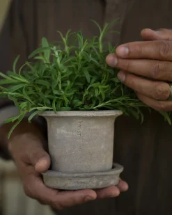Maceta de terracota Ernst con plato, Ø12 × 10 cm