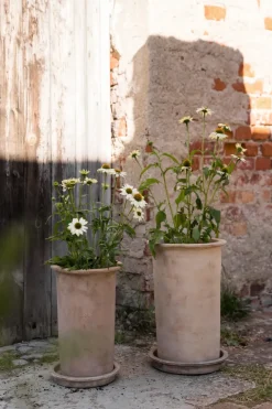 Maceta de terracota Ernst con plato, Ø25x35 cm