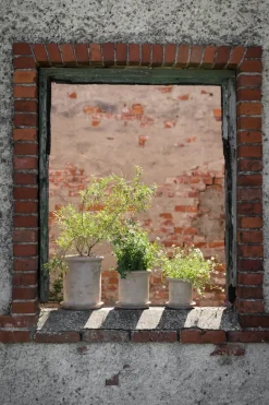 Maceta de terracota Ernst con plato, Ø25×28 cm