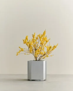 Maceta Funki L 52 cm, Brushed Aluminium