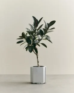 Maceta Funki M 40 cm, Brushed Aluminium