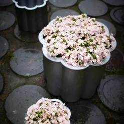 Maceta Gråsippa, Aluminio fundido a la arena, no. 2 Ø41 cm