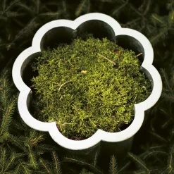 Maceta Gråsippa, Aluminio fundido en arena, no. 1 Ø33 cm