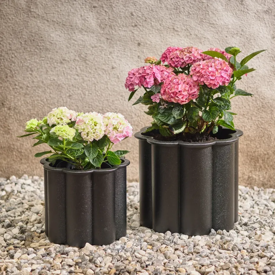 Maceta Gråsippa, Negro, n. 1 Ø33 cm