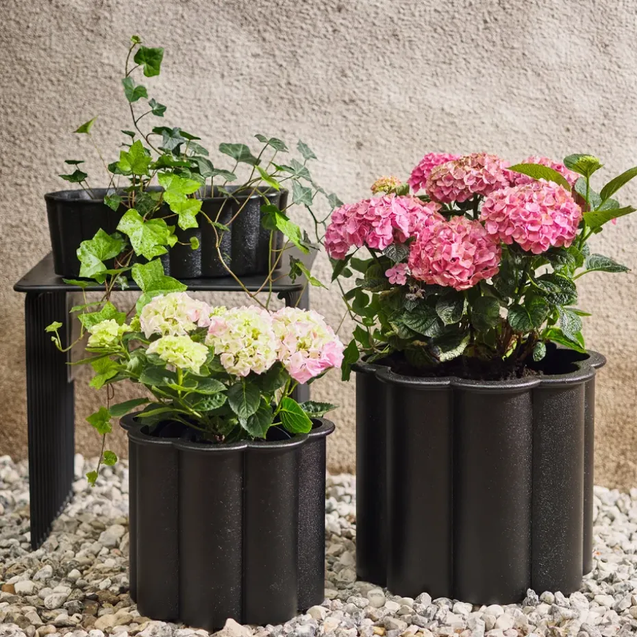 Maceta Gråsippa, Negro, n. 1 Ø33 cm