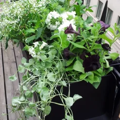 Macetero de ventana Jorda, Negro 100 cm