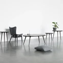 Mesa auxiliar Accent, roble sirka grey, medium