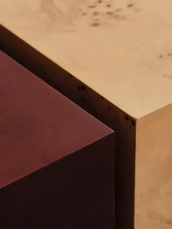 Mesa de centro Burl storage 70x70 cm, Natural