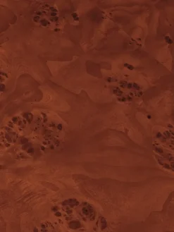 Mesa de centro Burl storage 70x70 cm, Dark stained burl