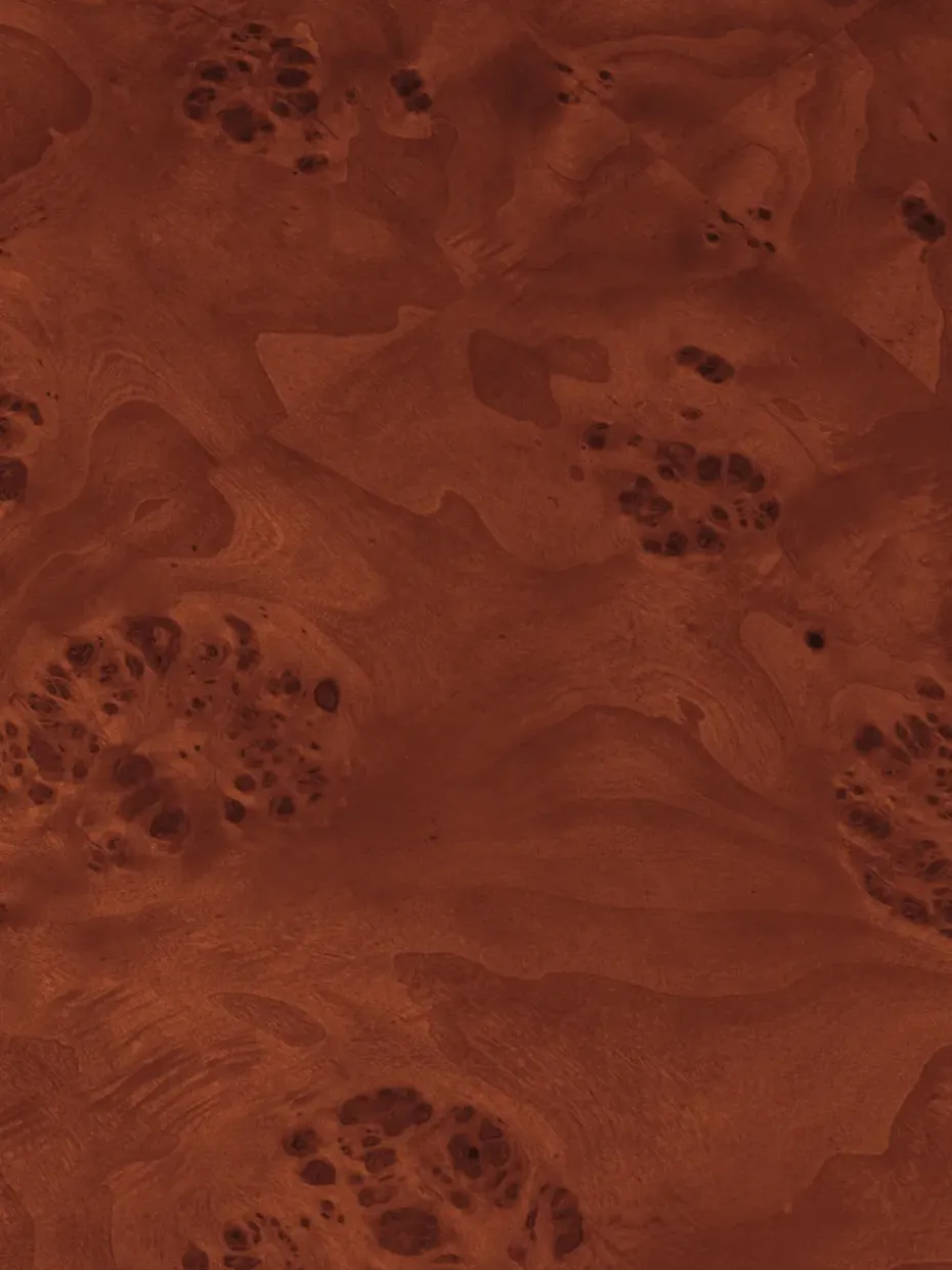 Mesa de centro Burl storage 70x70 cm, Dark stained burl