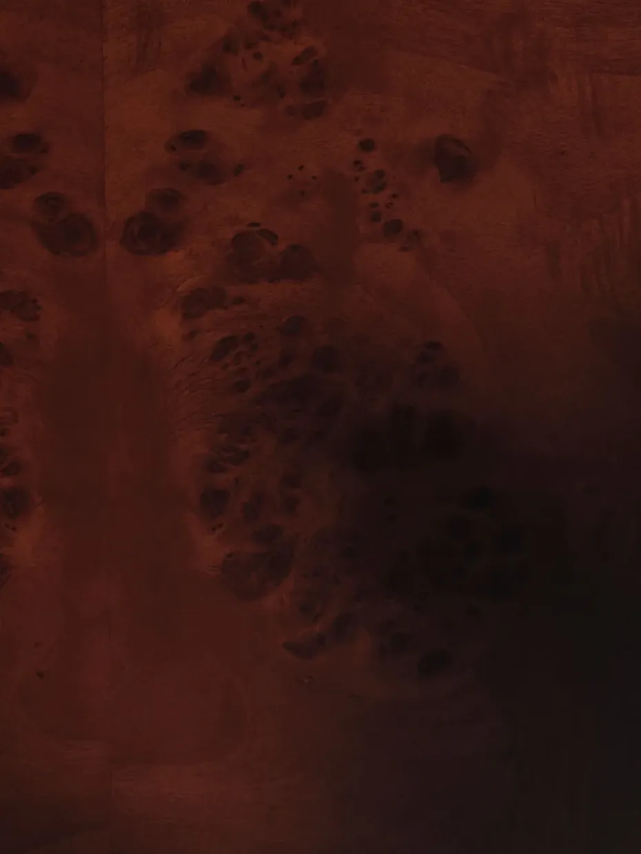 Mesa de centro Burl storage 70x70 cm, Dark stained burl