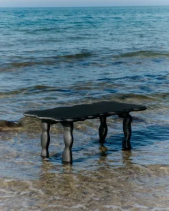 Mesa de centro Dal Piece 100x50x47 cm, Aluminio negro