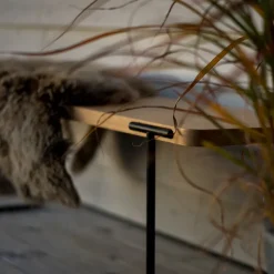 Mesa de centro Update, Roble claro con barniz transparente, 140 cm