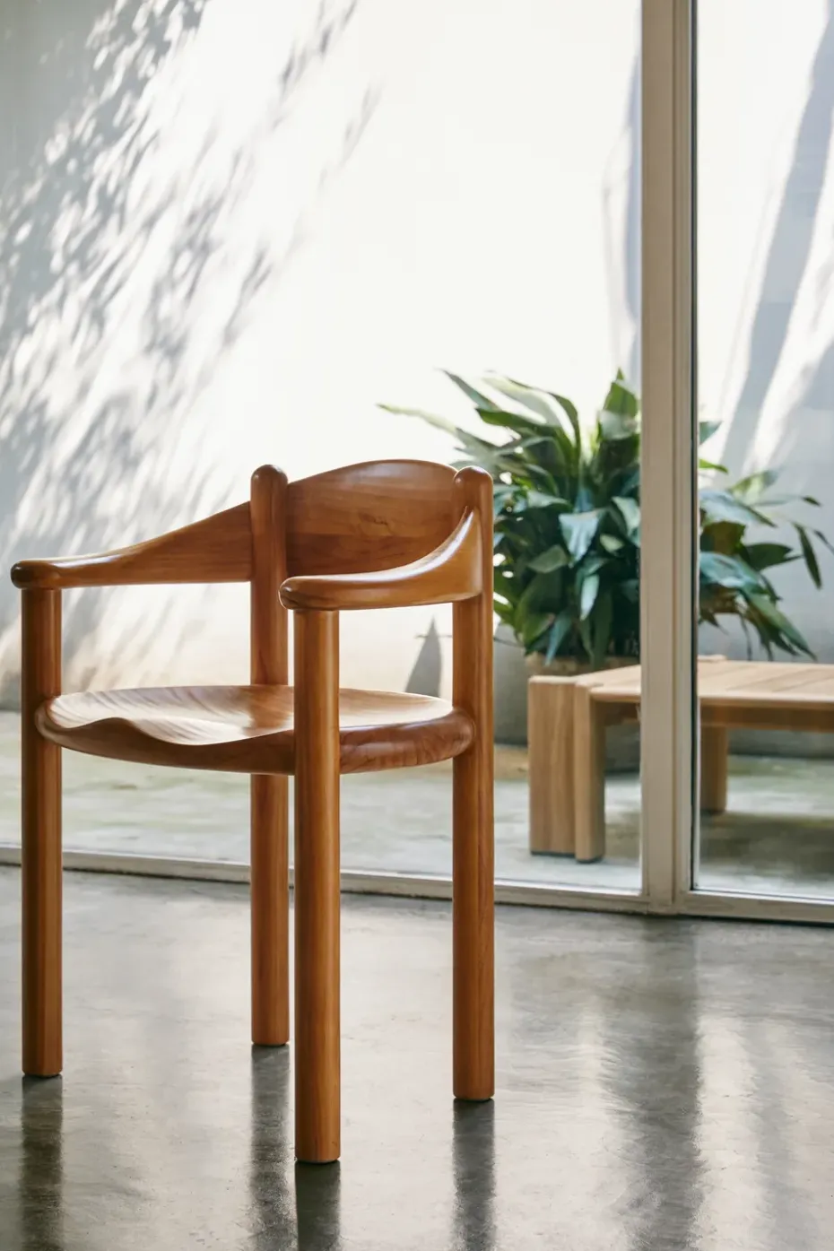 Silla con reposabrazos Daumiller, Golden pine